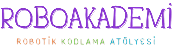 RoboAkademi Robotik Kodlama Atölyesi